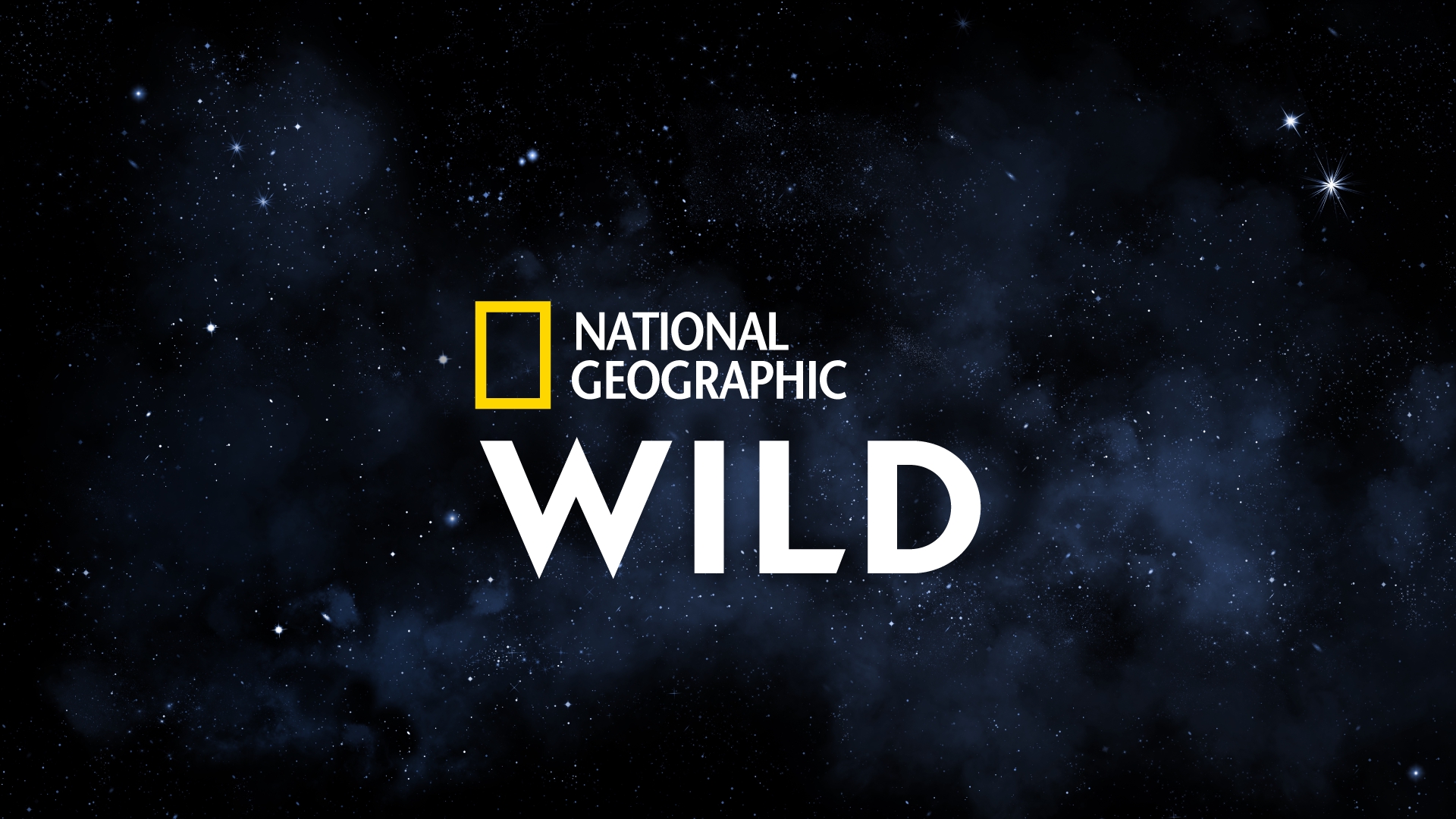 Нат гео тв. National Geographic Телеканал. Логотип канала Nat geo Wild HD. Телеканал National Geographic Wild. Телеканал логотип National Geographic Wild.